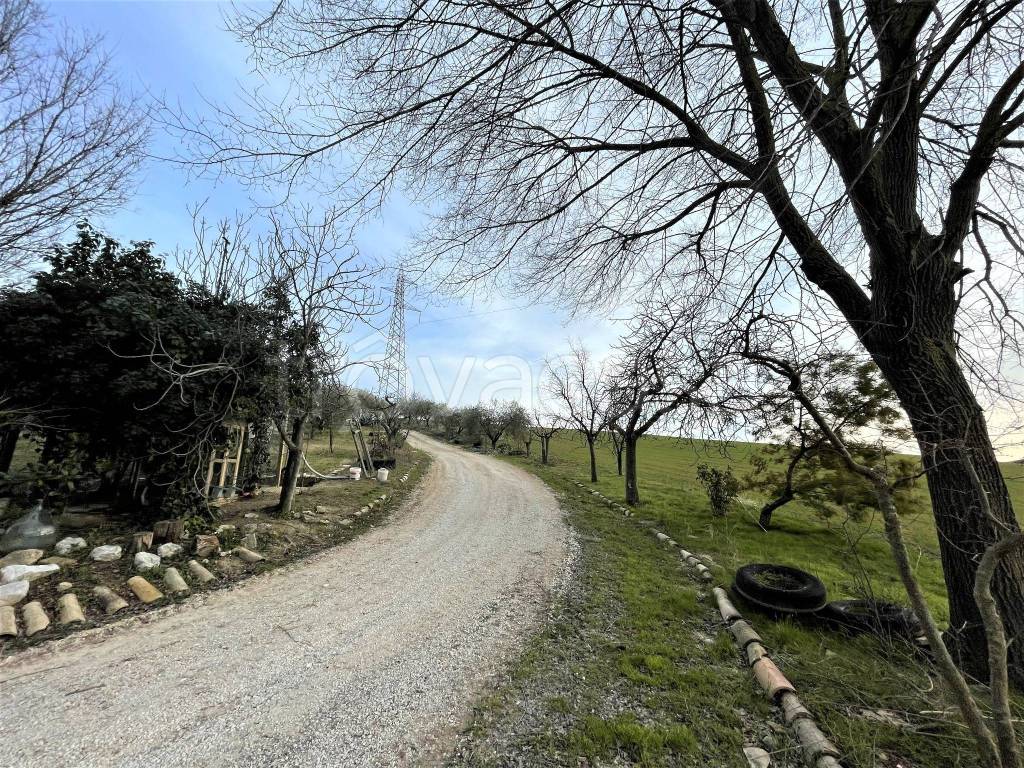 immagine annuncio 7 di 10