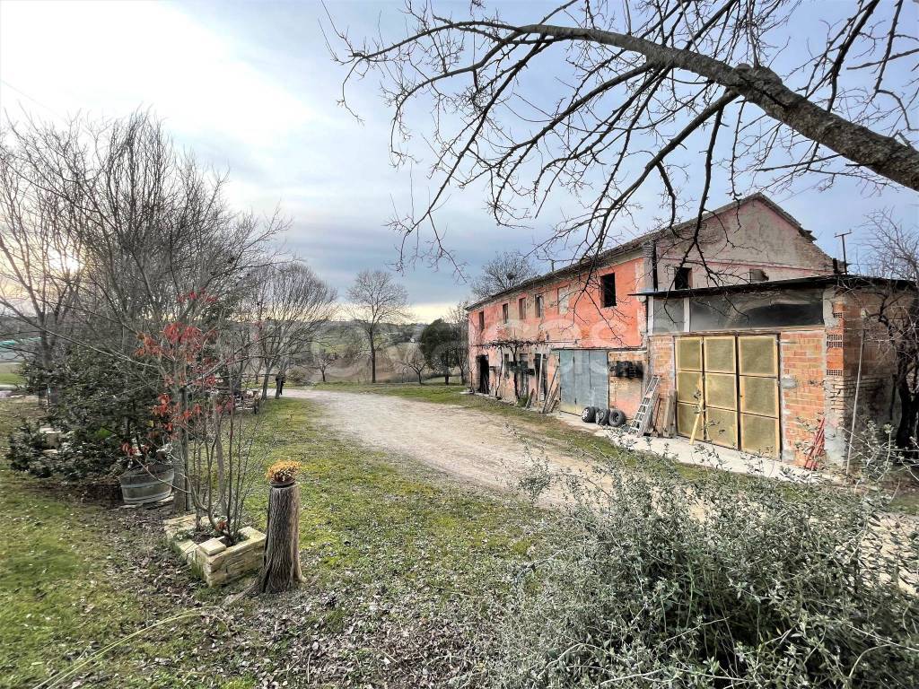 immagine annuncio 4 di 10