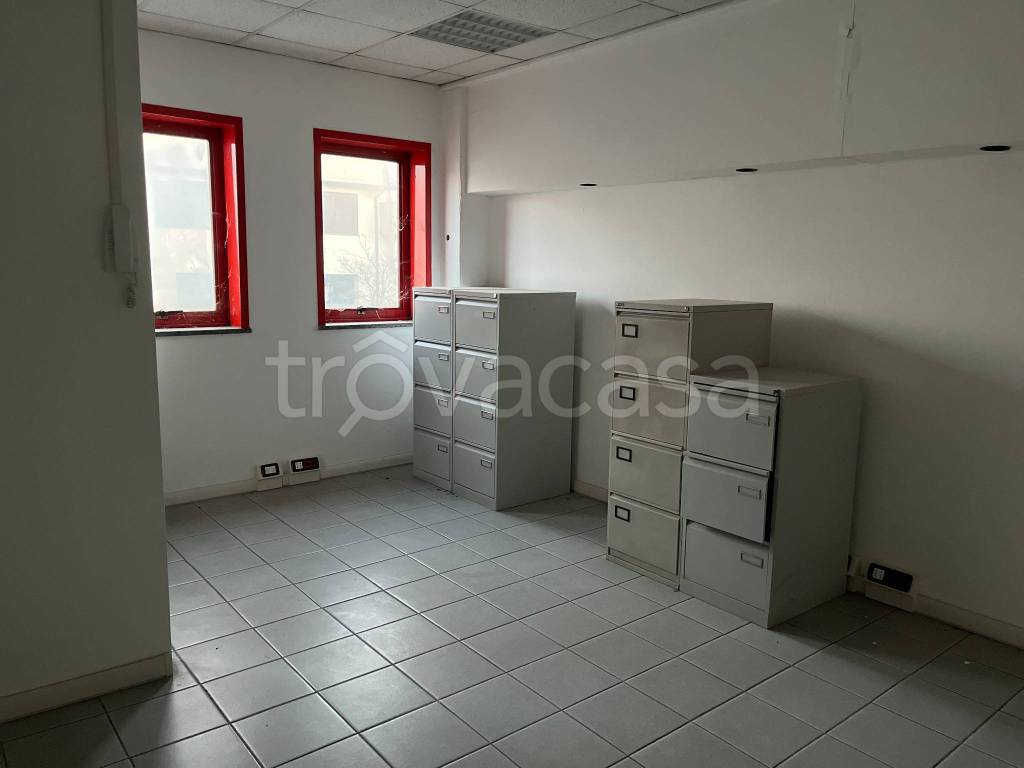 immagine annuncio 9 di 12