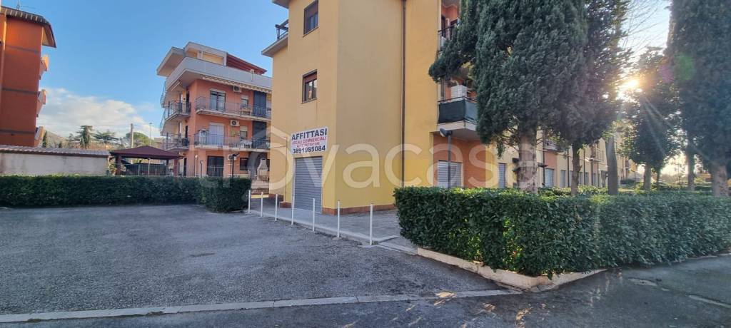 immagine annuncio 3 di 7