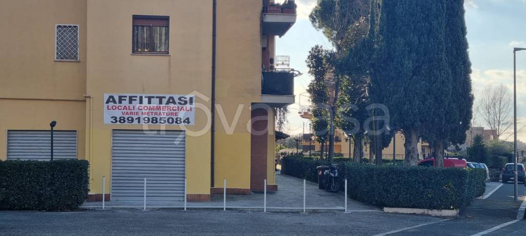 immagine annuncio 2 di 7