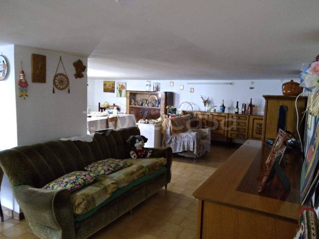 immagine annuncio 7 di 14