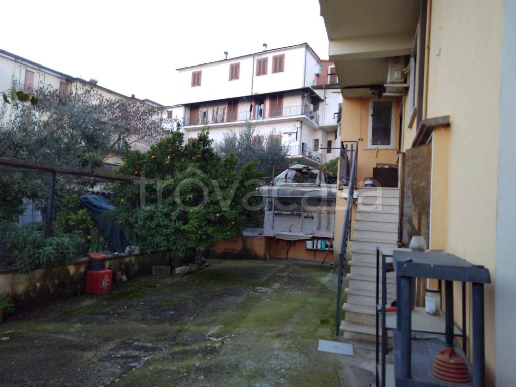 immagine annuncio 12 di 14