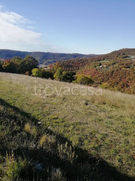 Terreno Agricolo in vendita a Val Liona via Ghenzo