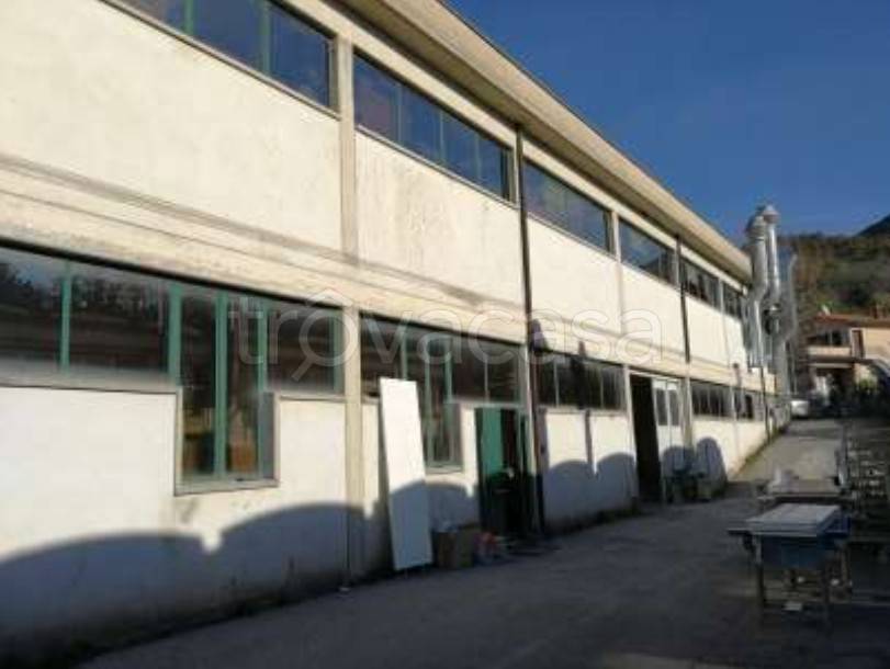 Capannone Industriale in vendita a Massarosa via Vittorio Veneto, 595