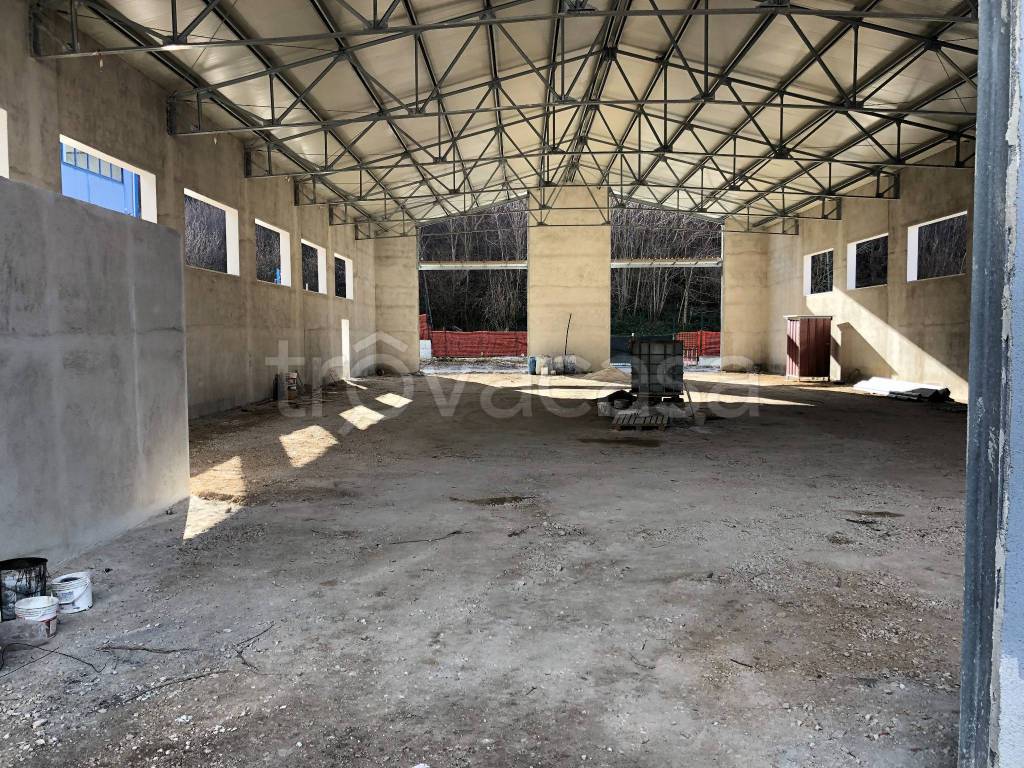 immagine annuncio 9 di 14