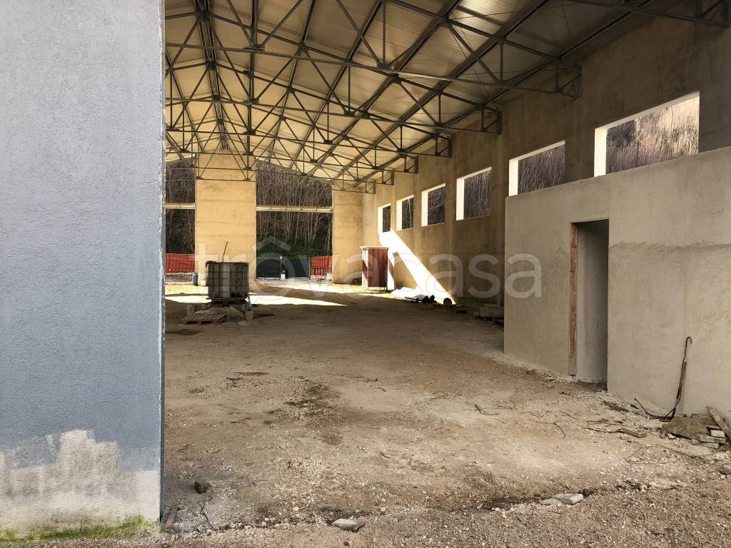 immagine annuncio 10 di 14