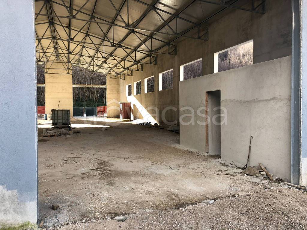 immagine annuncio 11 di 14
