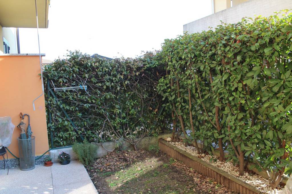 immagine annuncio 4 di 11