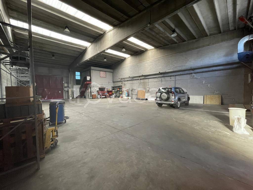 immagine annuncio 6 di 15