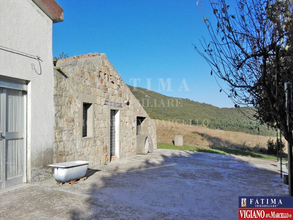 immagine annuncio 2 di 11