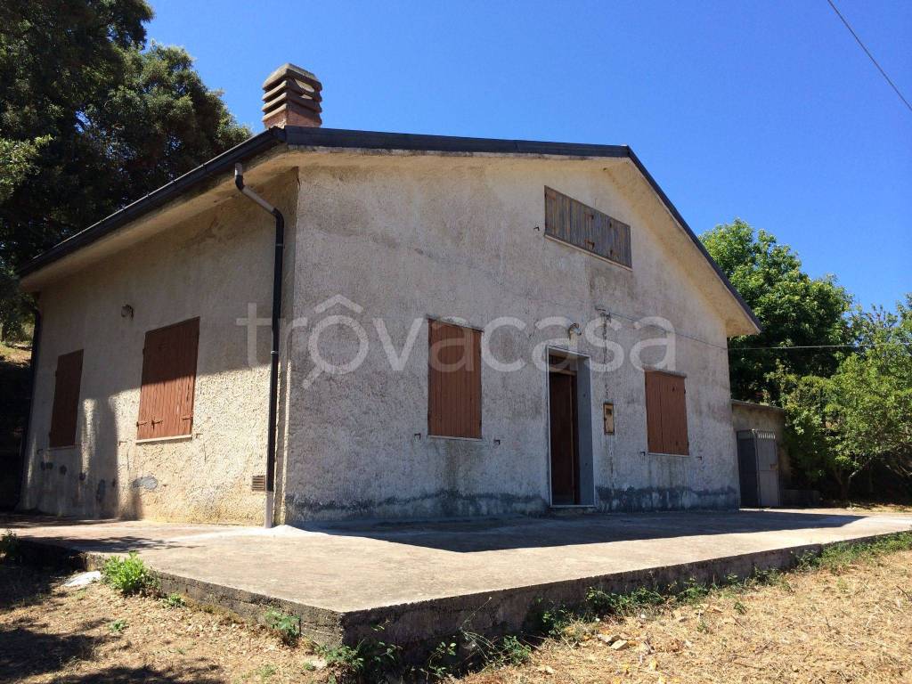 Villa in in vendita da privato a Santo Stefano di Camastra piazza Antonello da Messina