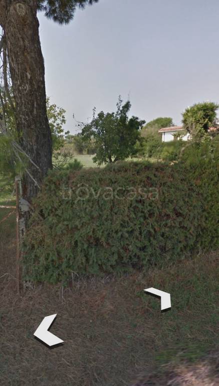 Terreno Residenziale in vendita a Ladispoli via dei Castagni