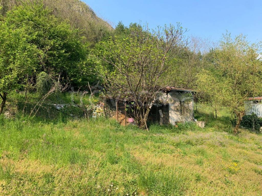 immagine annuncio 2 di 8