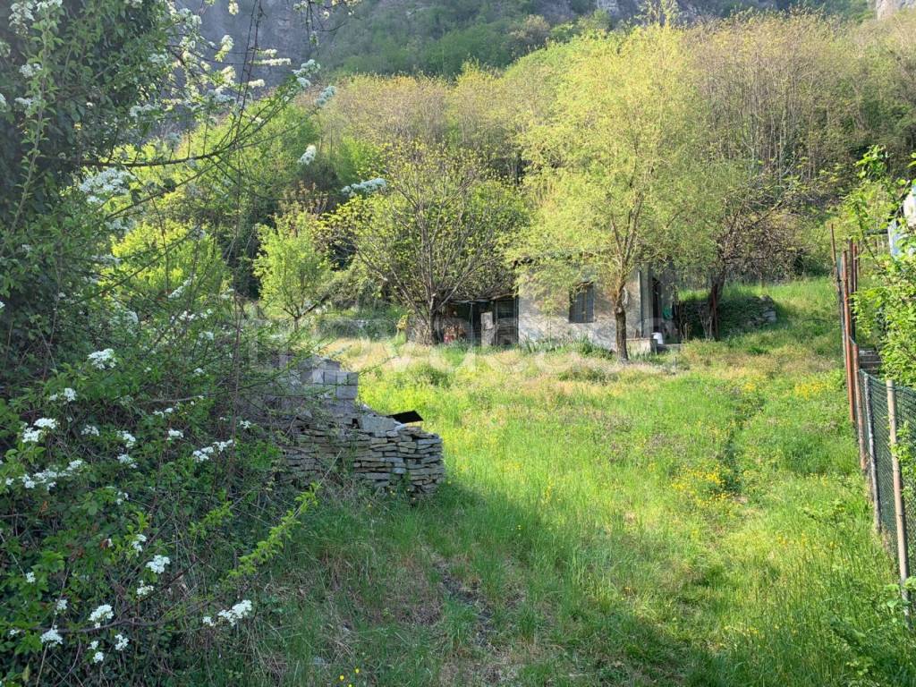 immagine annuncio 6 di 8