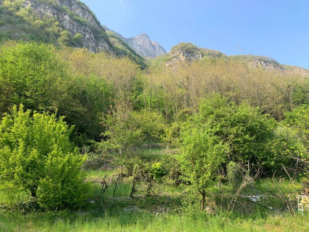 immagine annuncio 7 di 8
