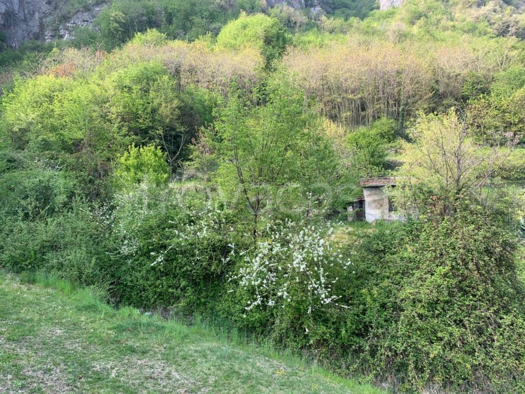 immagine annuncio 5 di 8