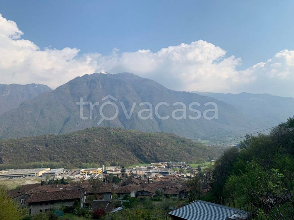 immagine annuncio 3 di 8