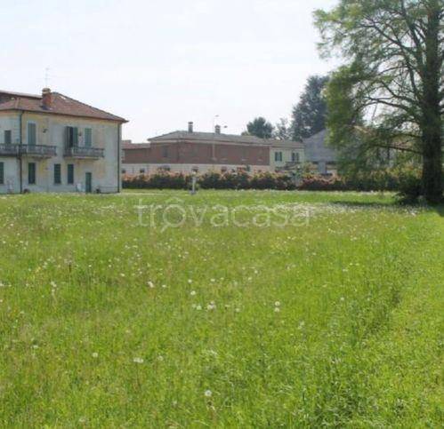 immagine annuncio 1 di 14