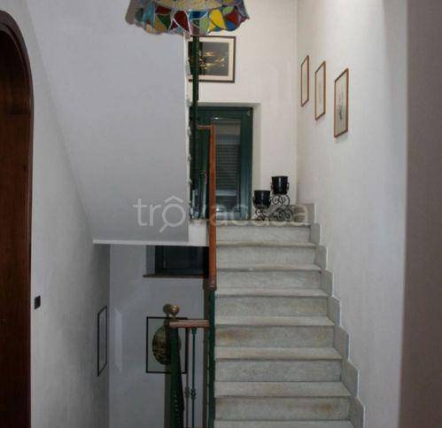 immagine annuncio 10 di 14