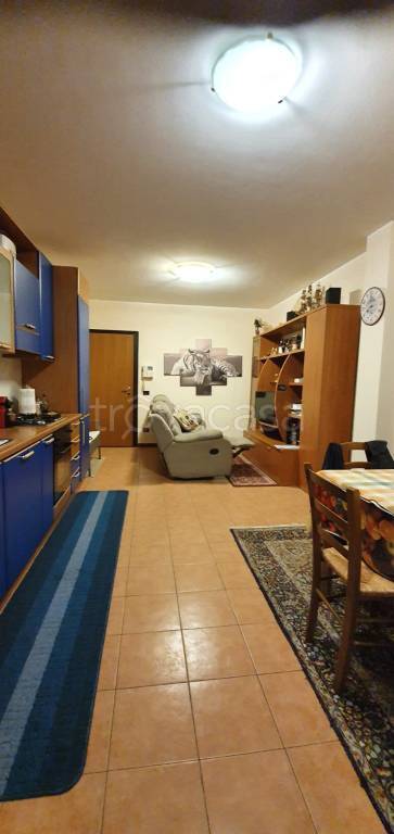 immagine annuncio 5 di 13