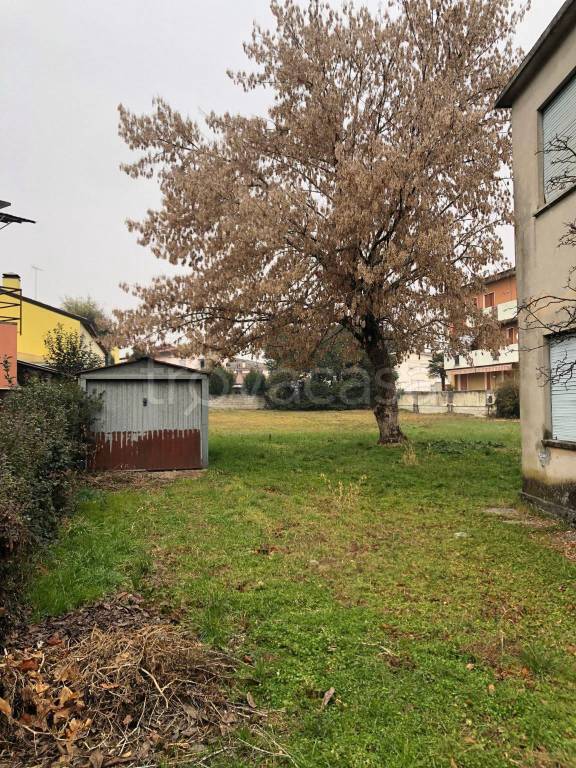 immagine annuncio 1 di 4