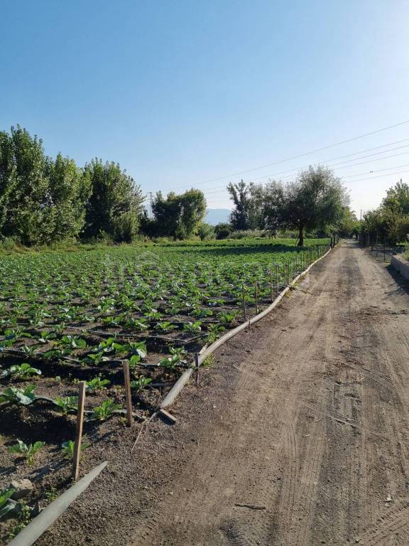 Terreno Agricolo in vendita a Striano via Sarno, 216