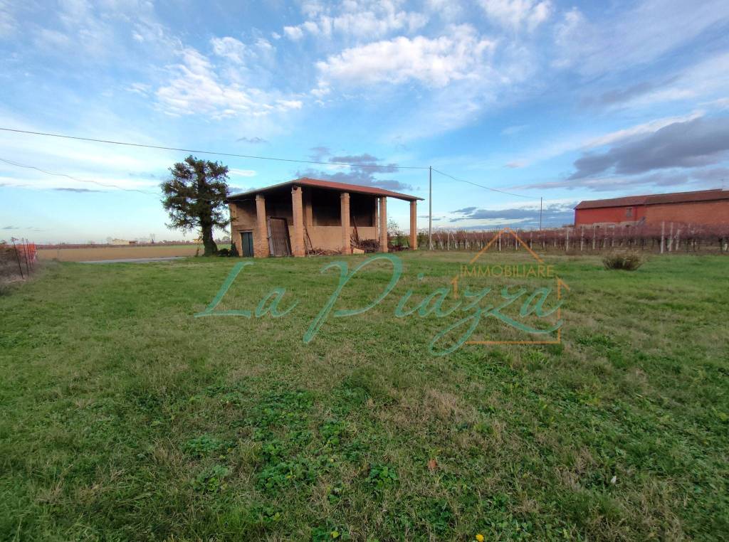 immagine annuncio 4 di 9