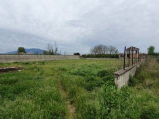 Terreno agricolo in vendita ad acerra via spiniello