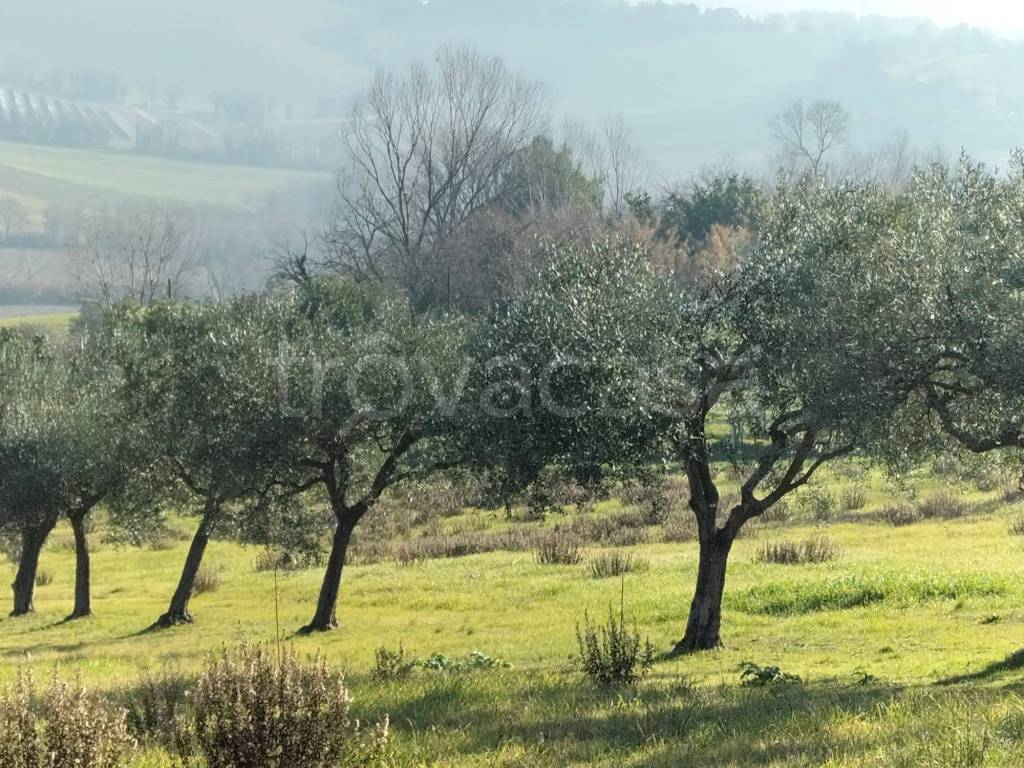 immagine annuncio 2 di 6