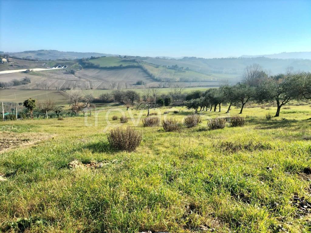 Terreno Residenziale in vendita a Chiaravalle via Grancetta