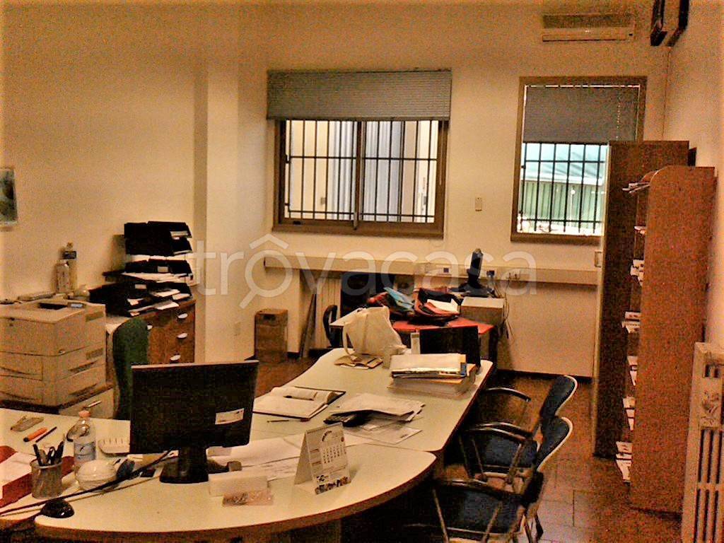 immagine annuncio 4 di 12