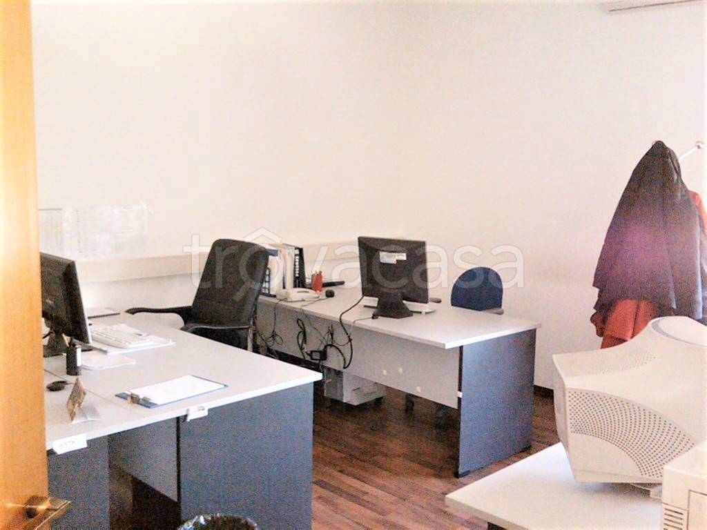 immagine annuncio 3 di 12