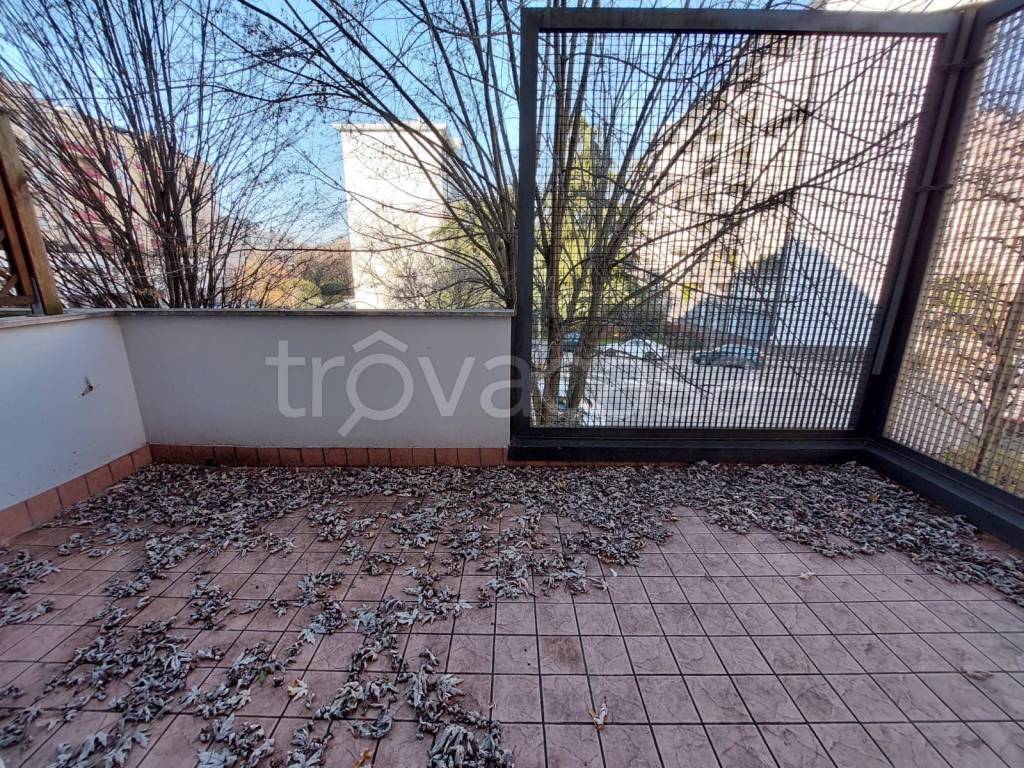 immagine annuncio 3 di 11