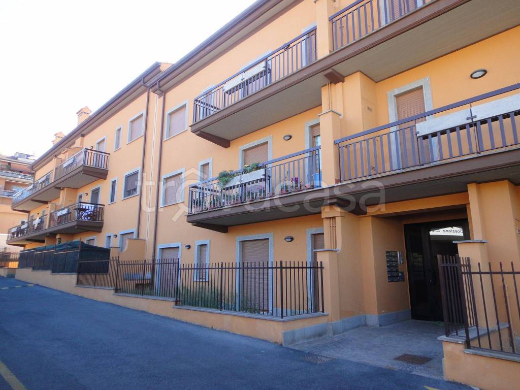 Appartamento in in affitto da privato a Frascati via Sciadonna, 9