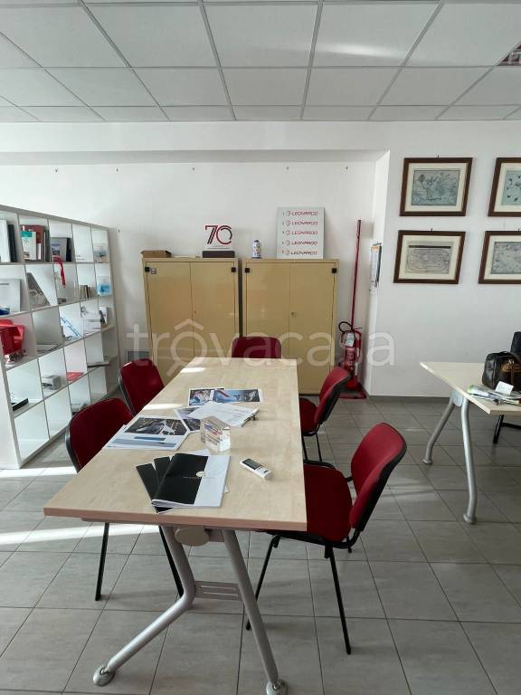 immagine annuncio 10 di 13