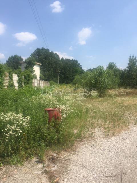 immagine annuncio 9 di 13