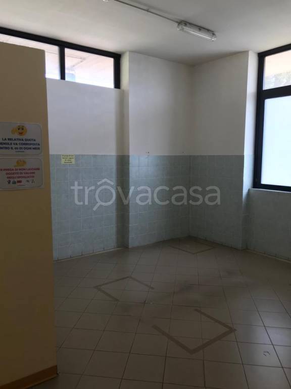 immagine annuncio 10 di 13
