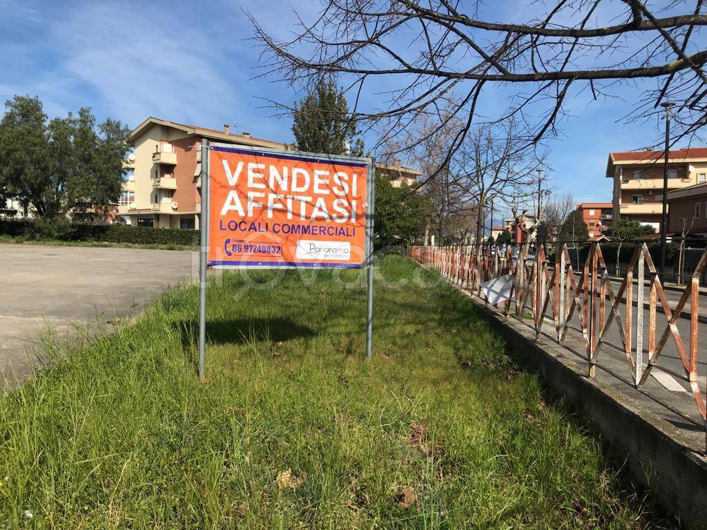 immagine annuncio 12 di 13