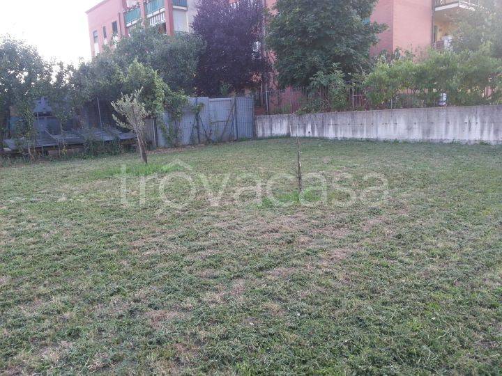 immagine annuncio 4 di 7