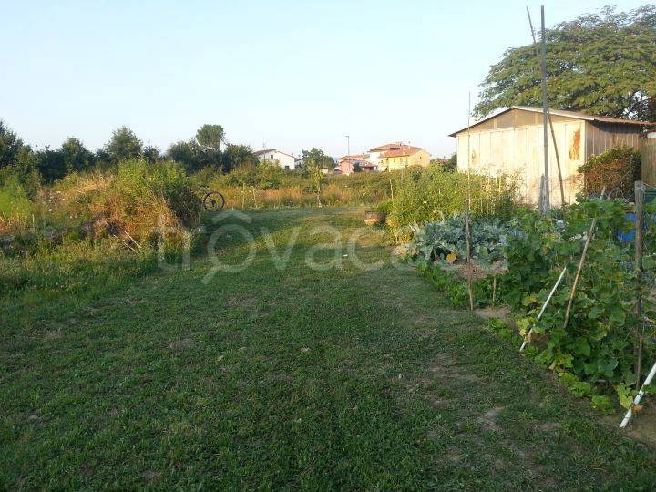 immagine annuncio 6 di 7