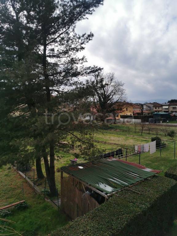 Terreno Agricolo in vendita a Capannori piazza Aldo Moro, 43