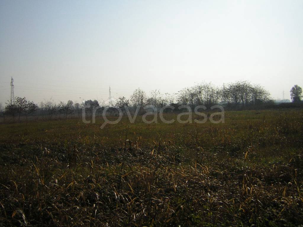immagine annuncio 4 di 6