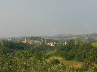 Terreno agricolo in vendita a castelvetro di modena via medusia, 37a