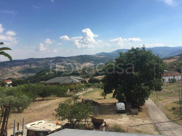 immagine annuncio 6 di 13