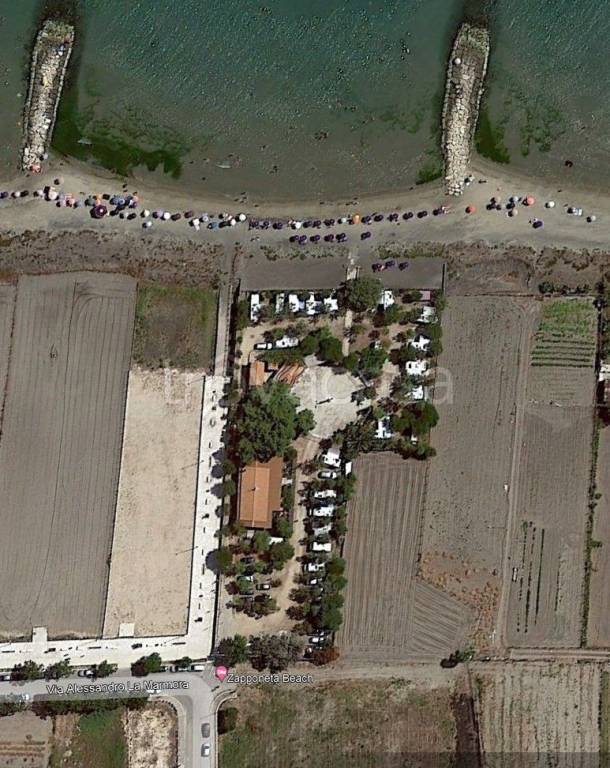 Terreno Agricolo in affitto a Zapponeta via Alessandro La Marmora, 59