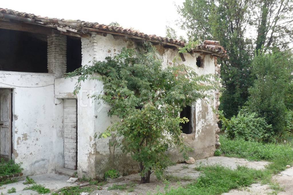 immagine annuncio 5 di 14