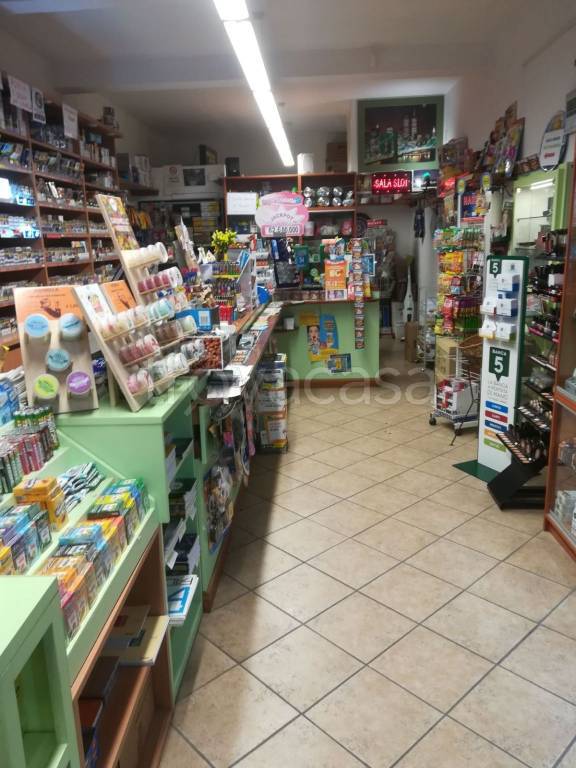 Tabaccheria in in vendita da privato a Rosignano Marittimo via Fratelli Cairoli