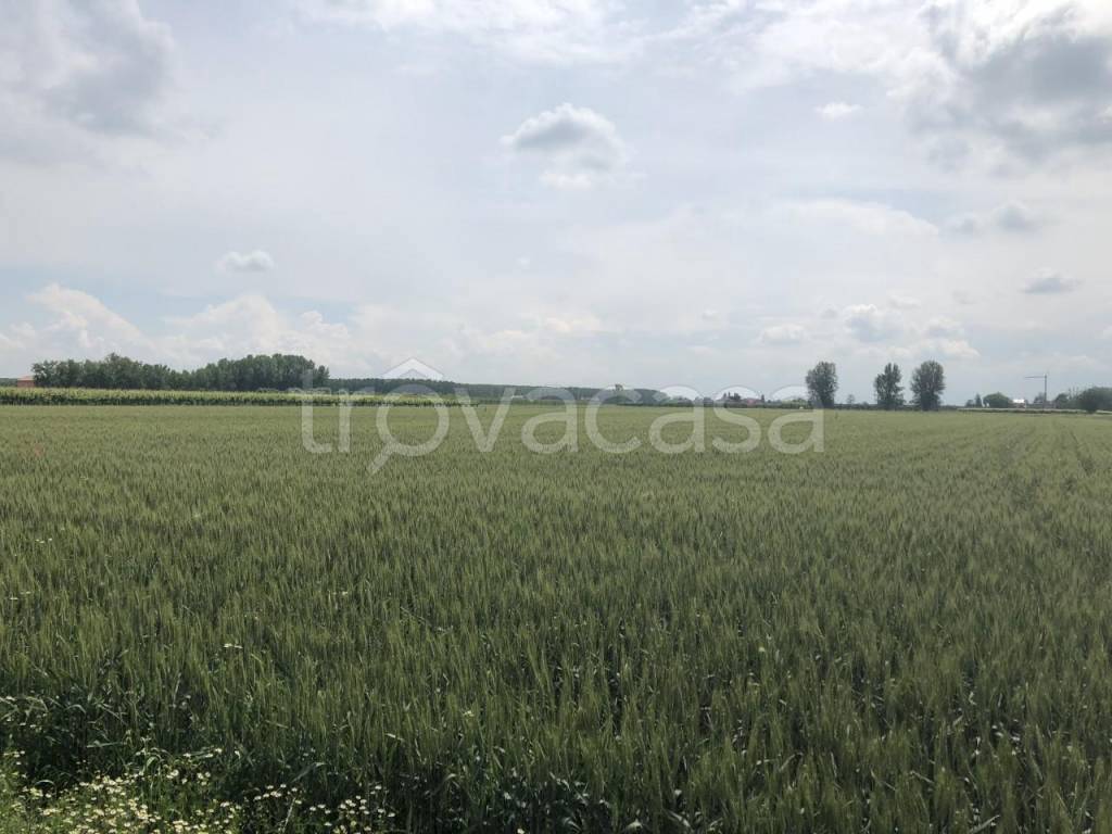 Terreno Agricolo in vendita a Novi di Modena