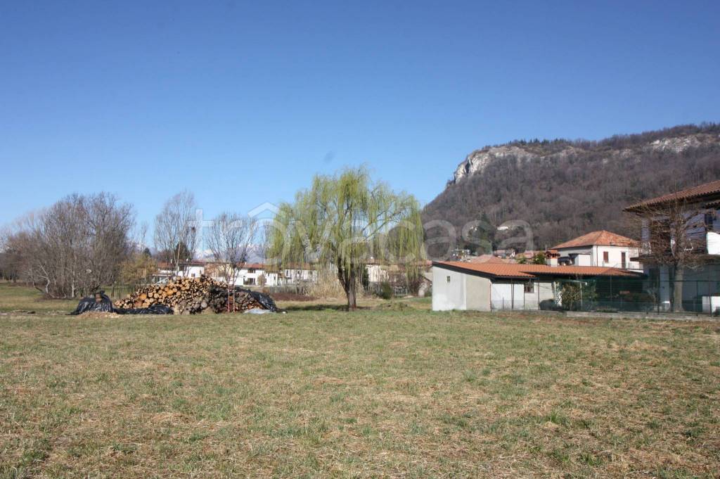 immagine annuncio 2 di 4